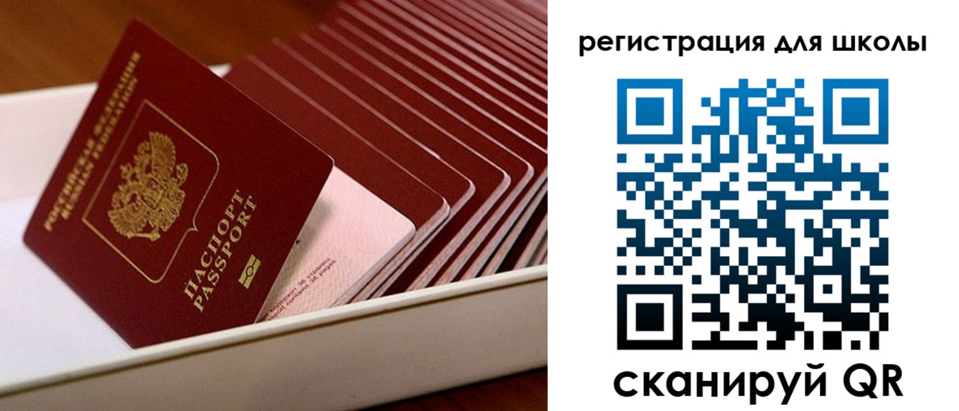 прописка гарантия в Смоленске